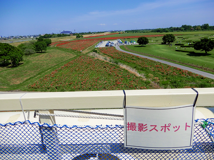 荒川水管橋見学会の様子