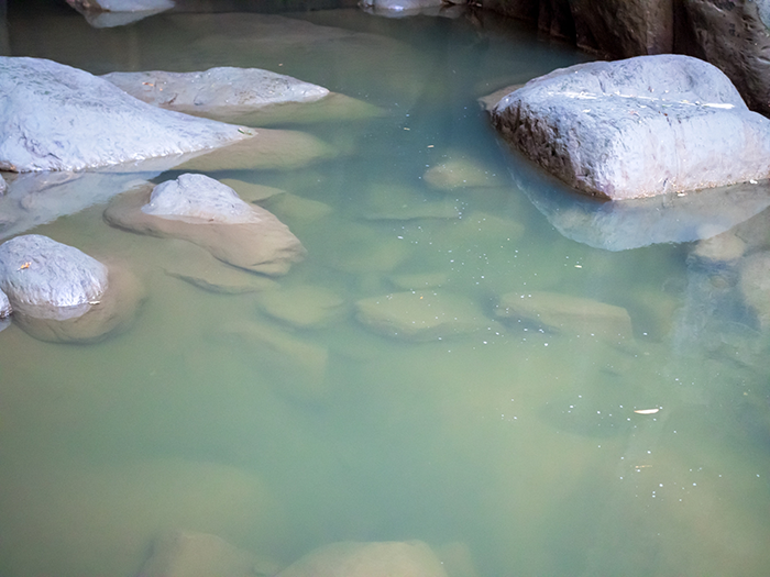 浦白川のドンドンの水深がわかる写真